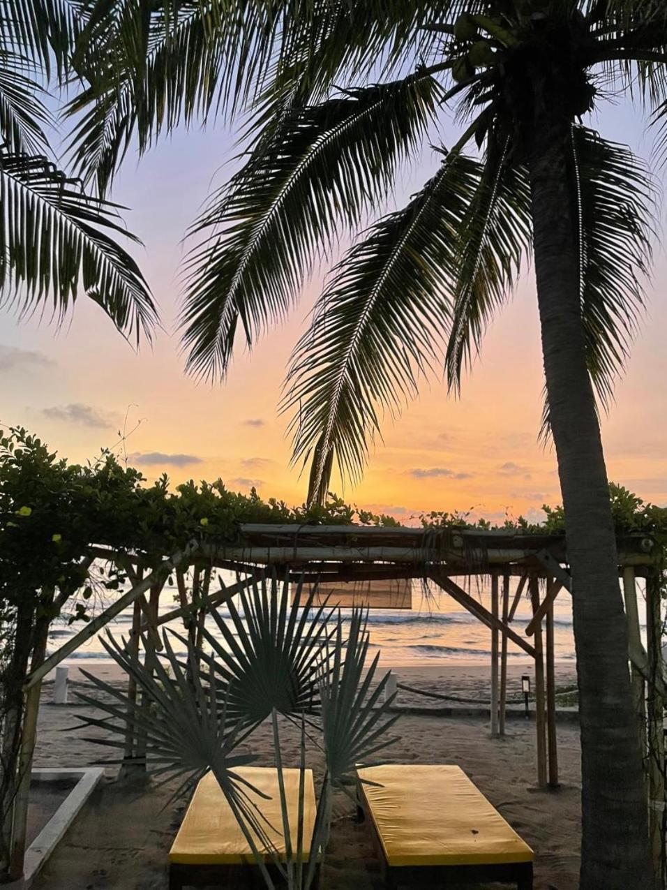トロンコネス Casa Faro Bed & Breakfast エクステリア 写真